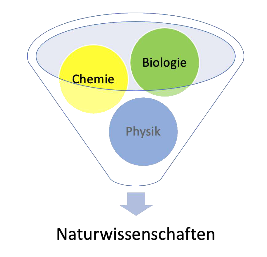 Screenshot_2020-11-03_Naturewissenschaft.png